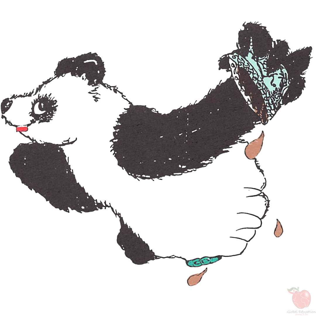 Chin Chin the Panda