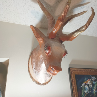 O deerr18'by22'