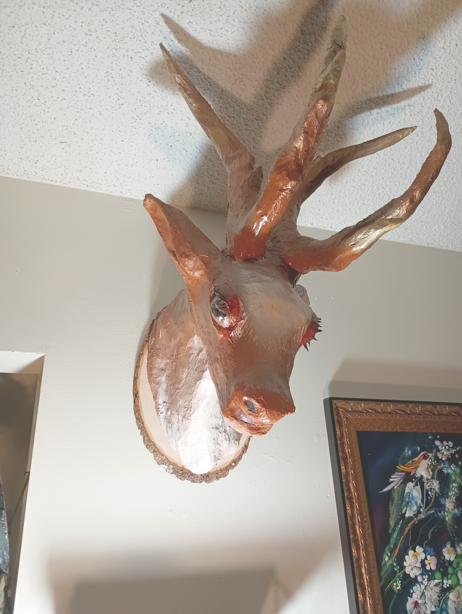 O deerr18'by22'